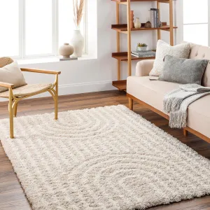 Blanchard 5x7 Shag Beige Area Rug Carpet for Living Room Bedroom or Kitchen (5'3" x 7'3")