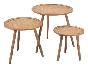 Set of 3 Paul Accent Tables Natural