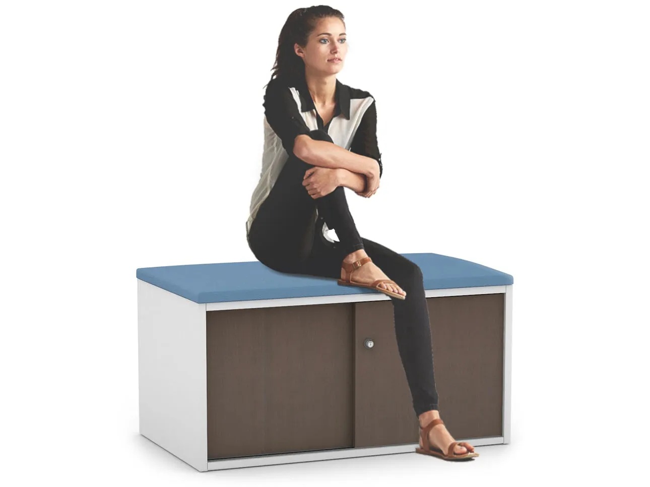 Uniform Low Sliding 2 Door Credenza - Top Cushion